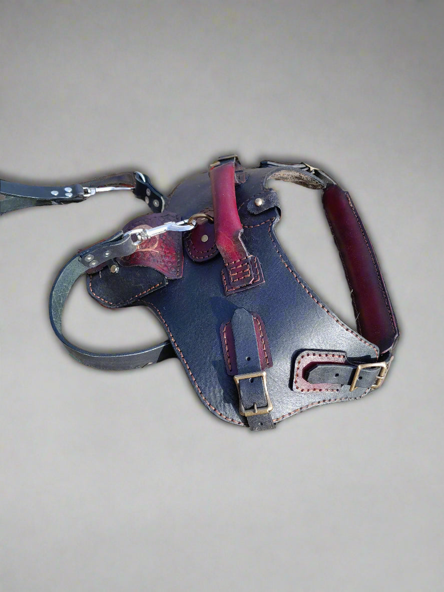 premium dog harness