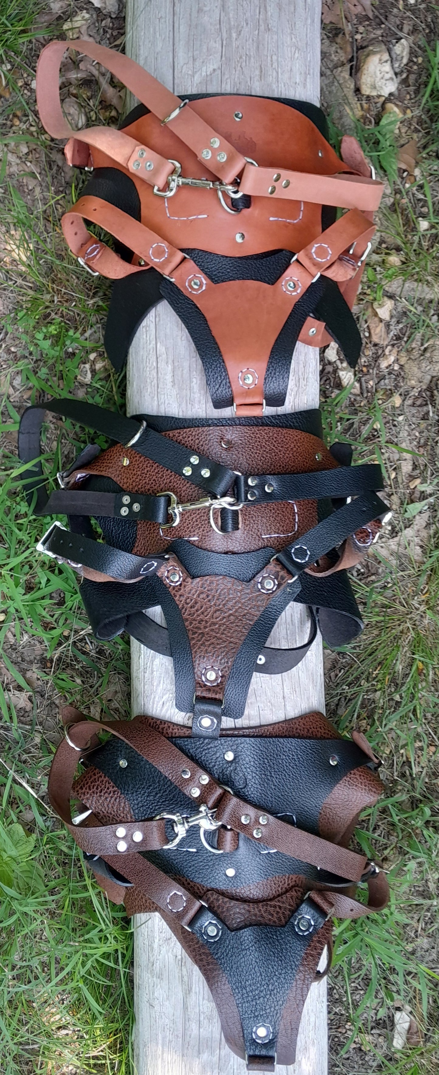 Custom Dog Harness