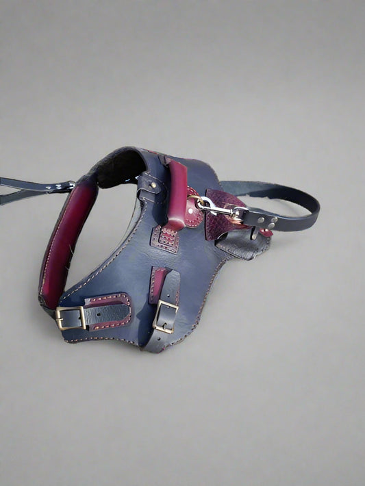 Dog Harness