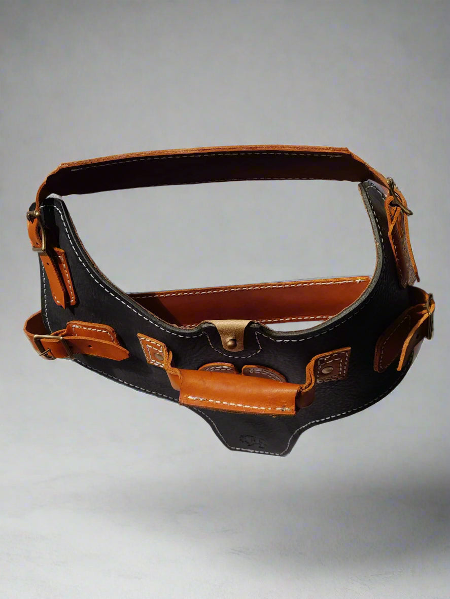 Dog Harness