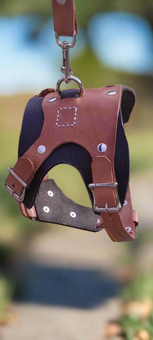 Dog Harness