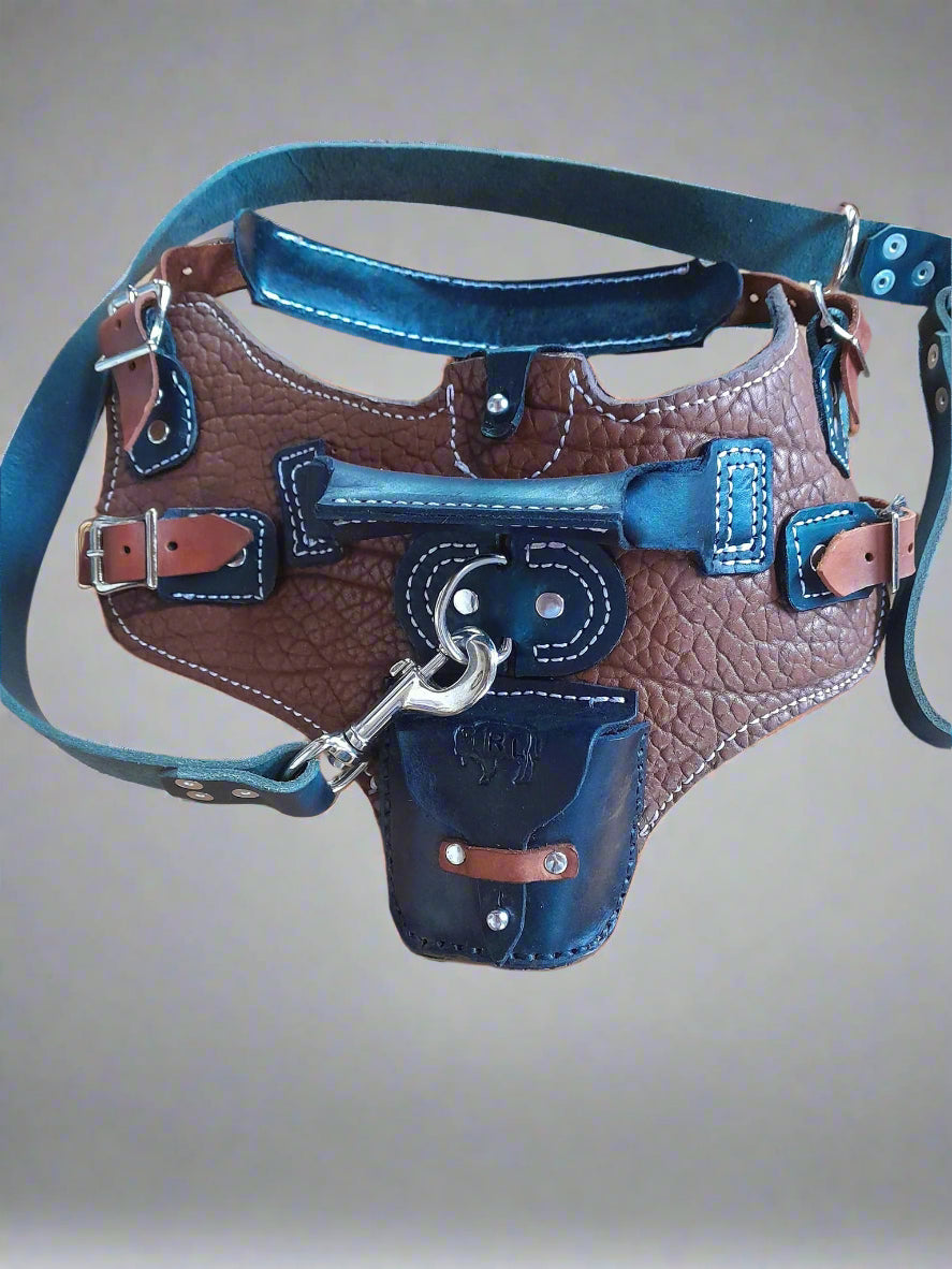Dog Harness