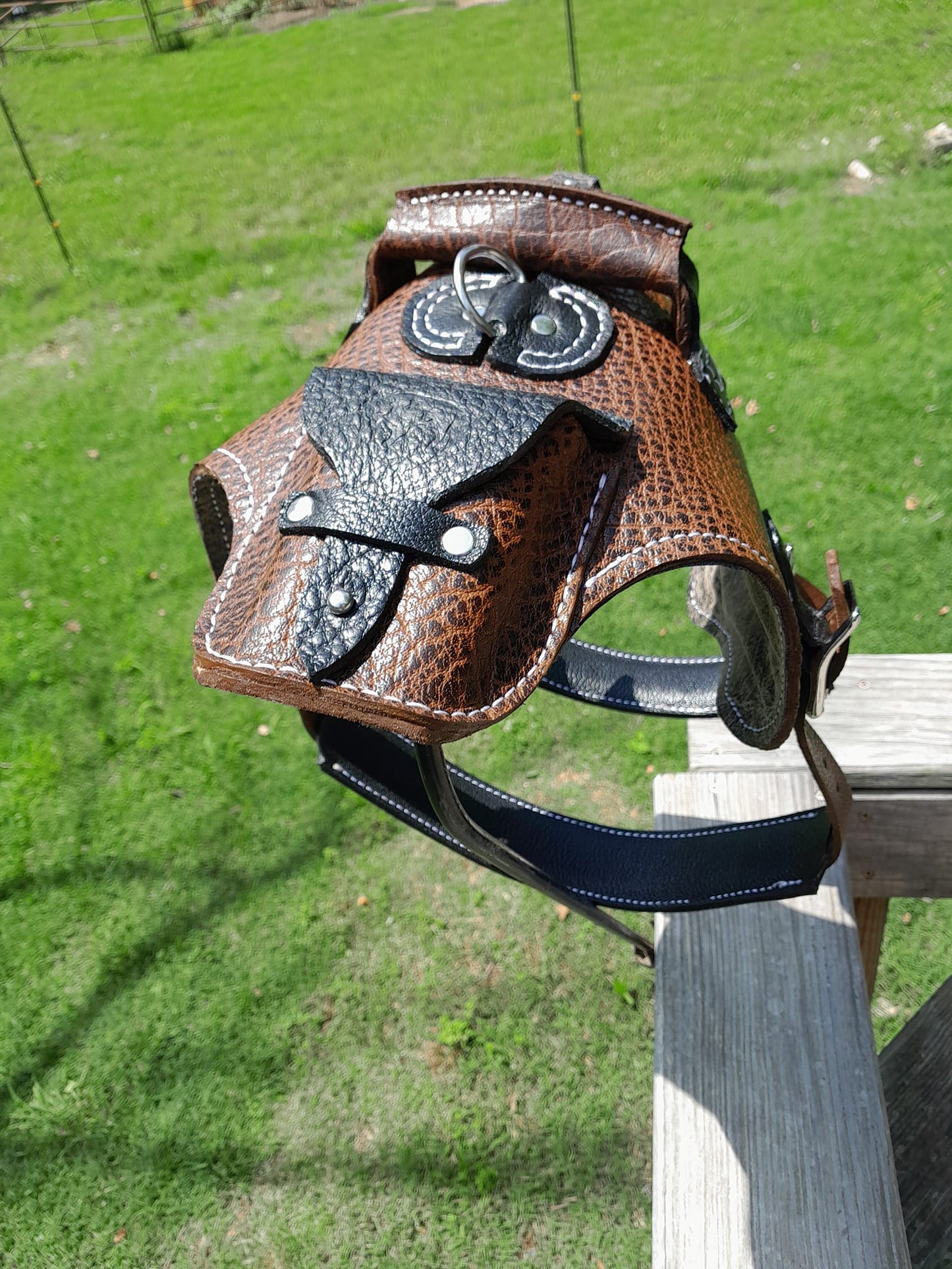 Dog Harness