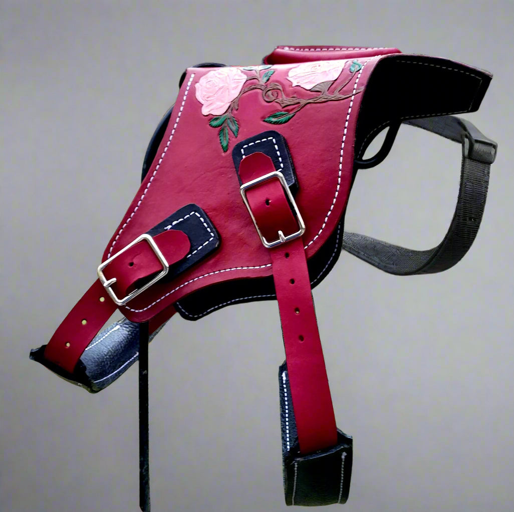 Custom Dog Harness