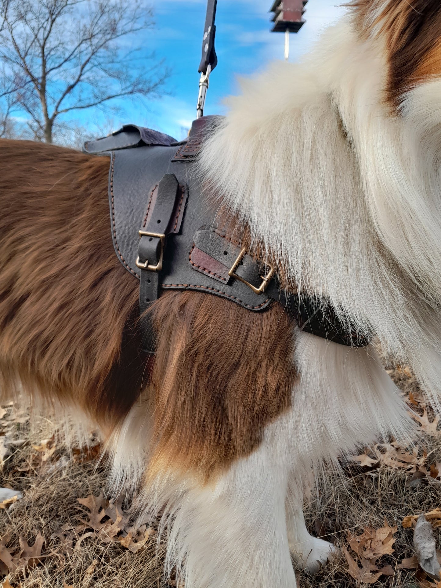 Heavy Duty Dog harness, Three Way Leash and RF tracker pocket