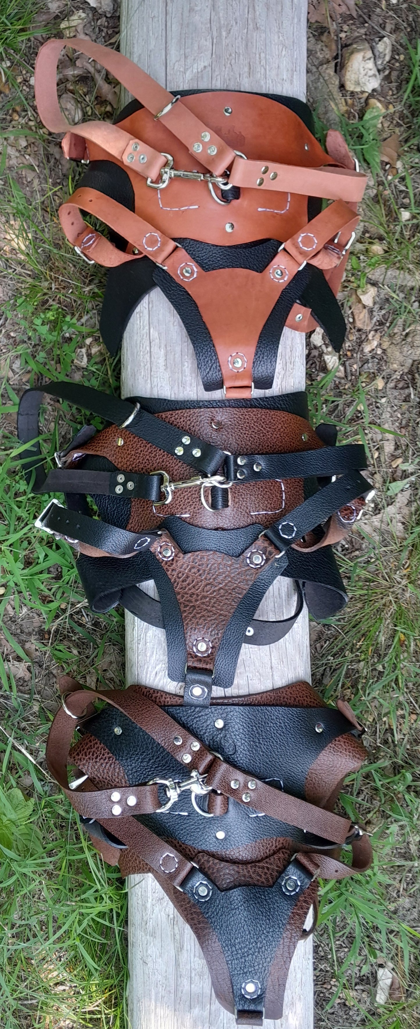 Premium Basic Leather Dog Harness