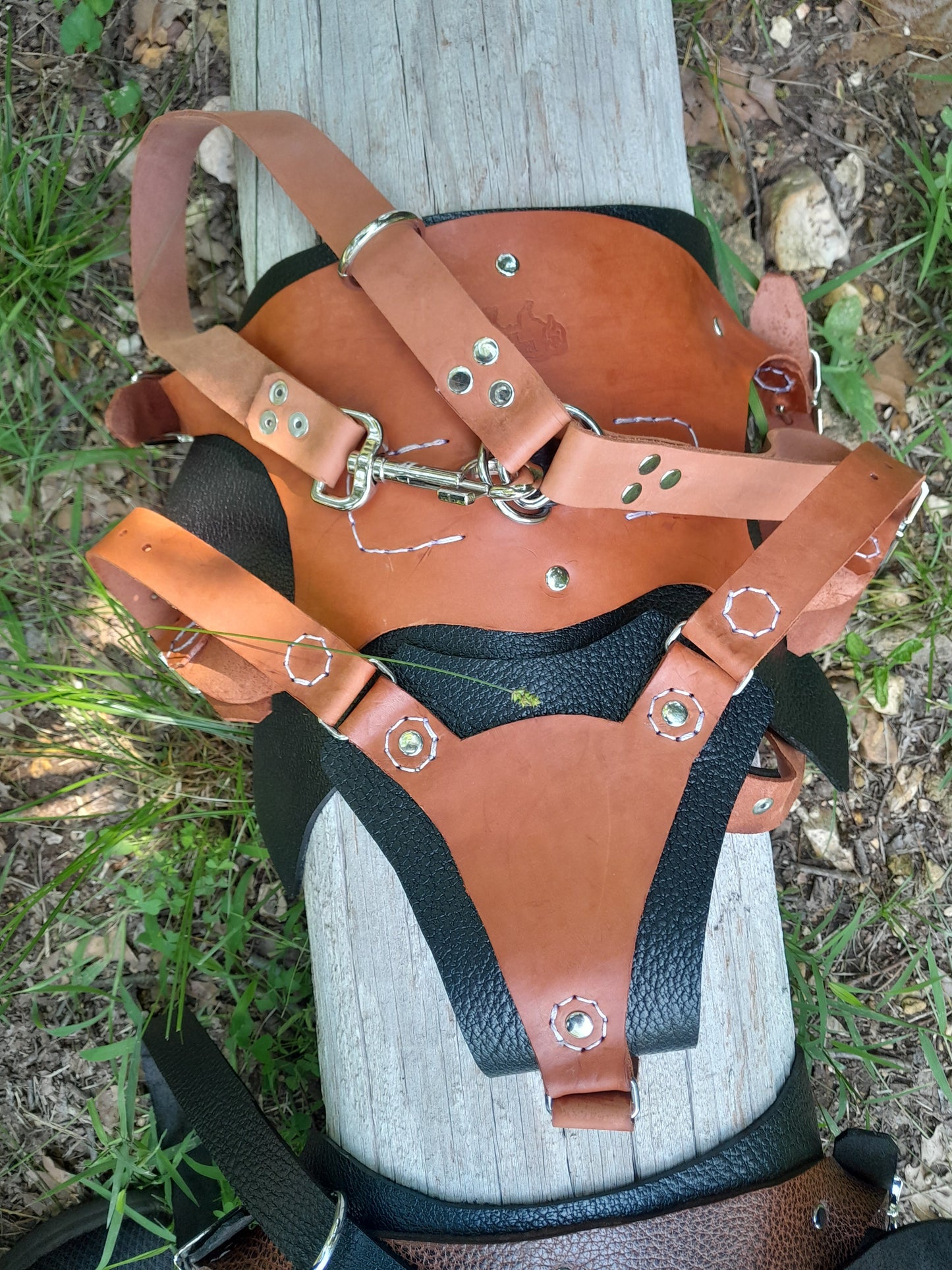 Premium Basic Leather Dog Harness