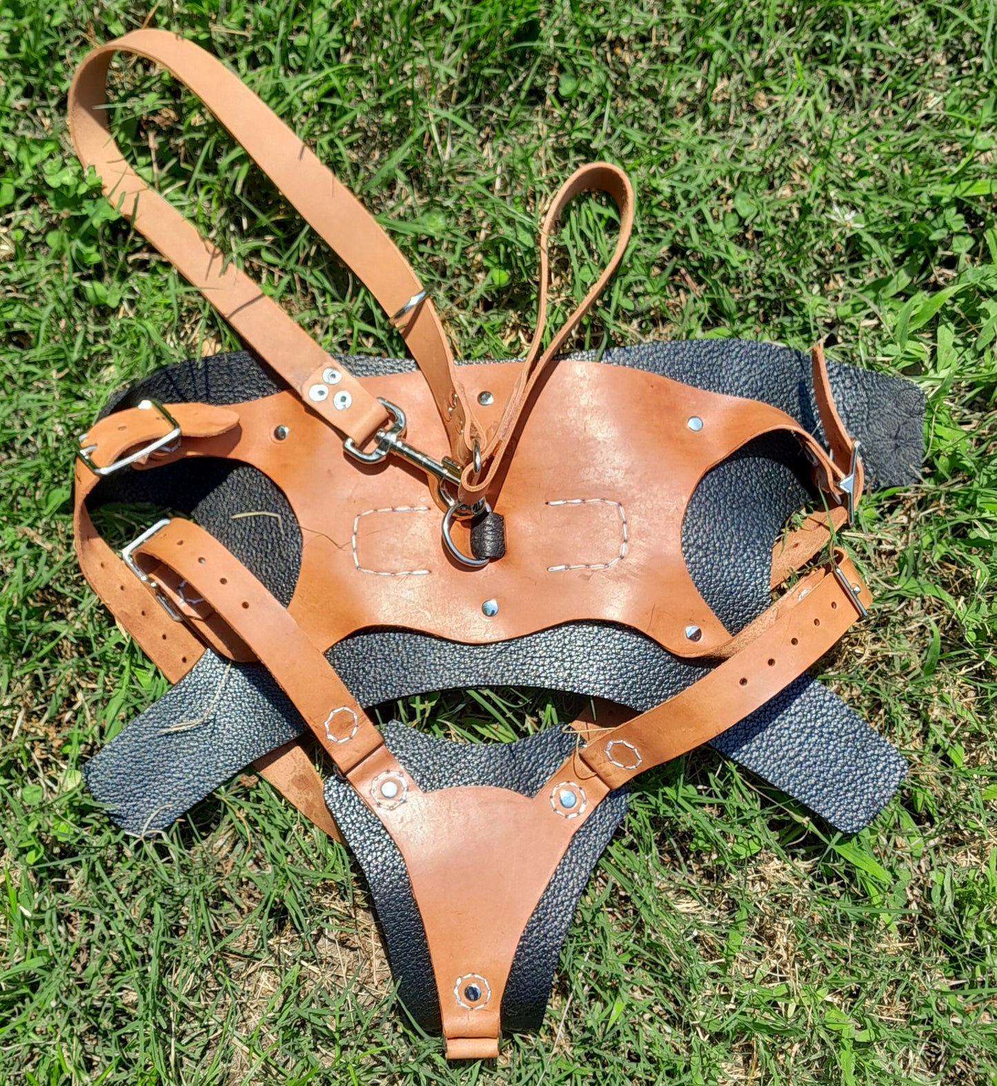 Premium Basic Leather Dog Harness