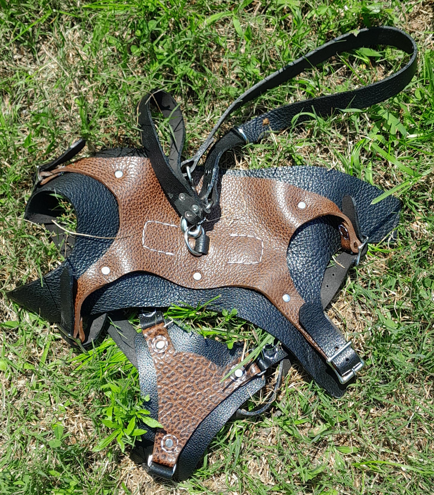 Premium Basic Leather Dog Harness