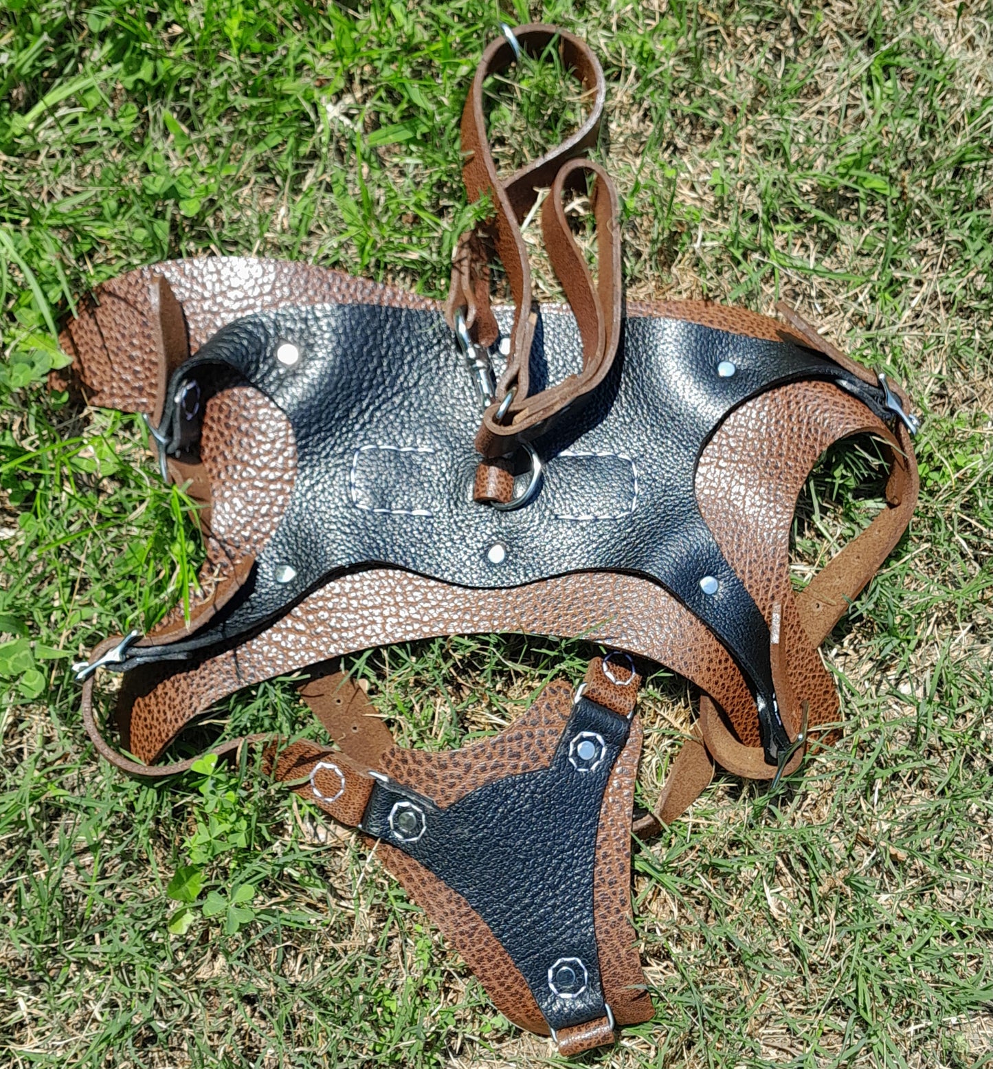 Premium Basic Leather Dog Harness