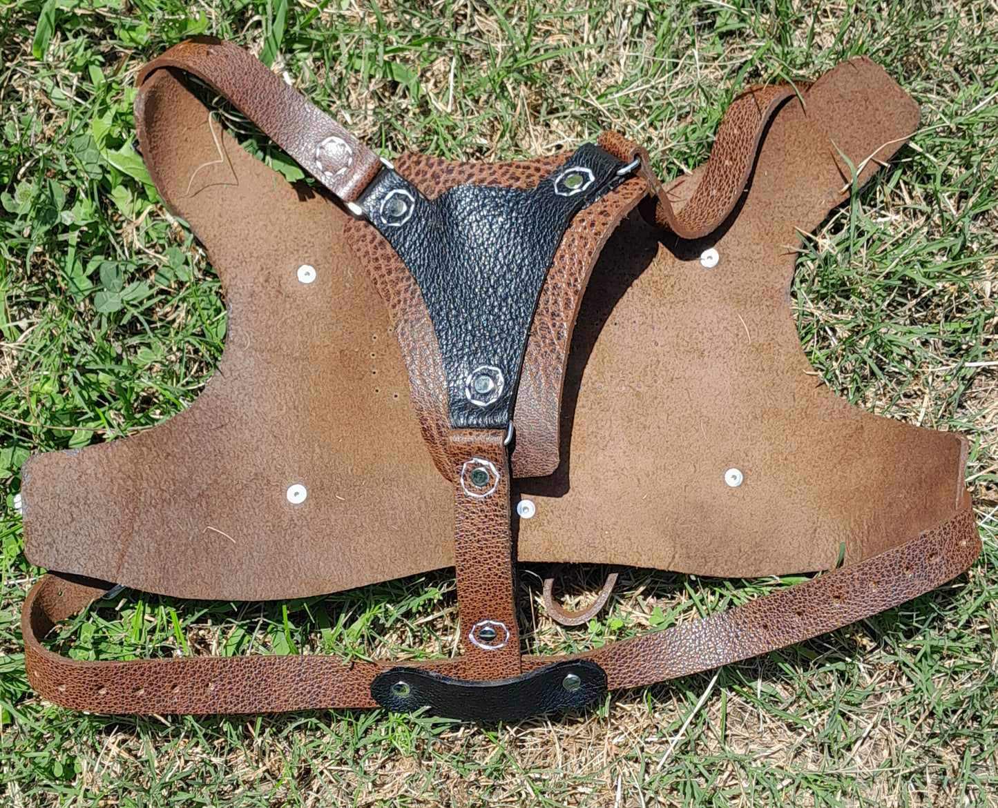 Premium Basic Leather Dog Harness