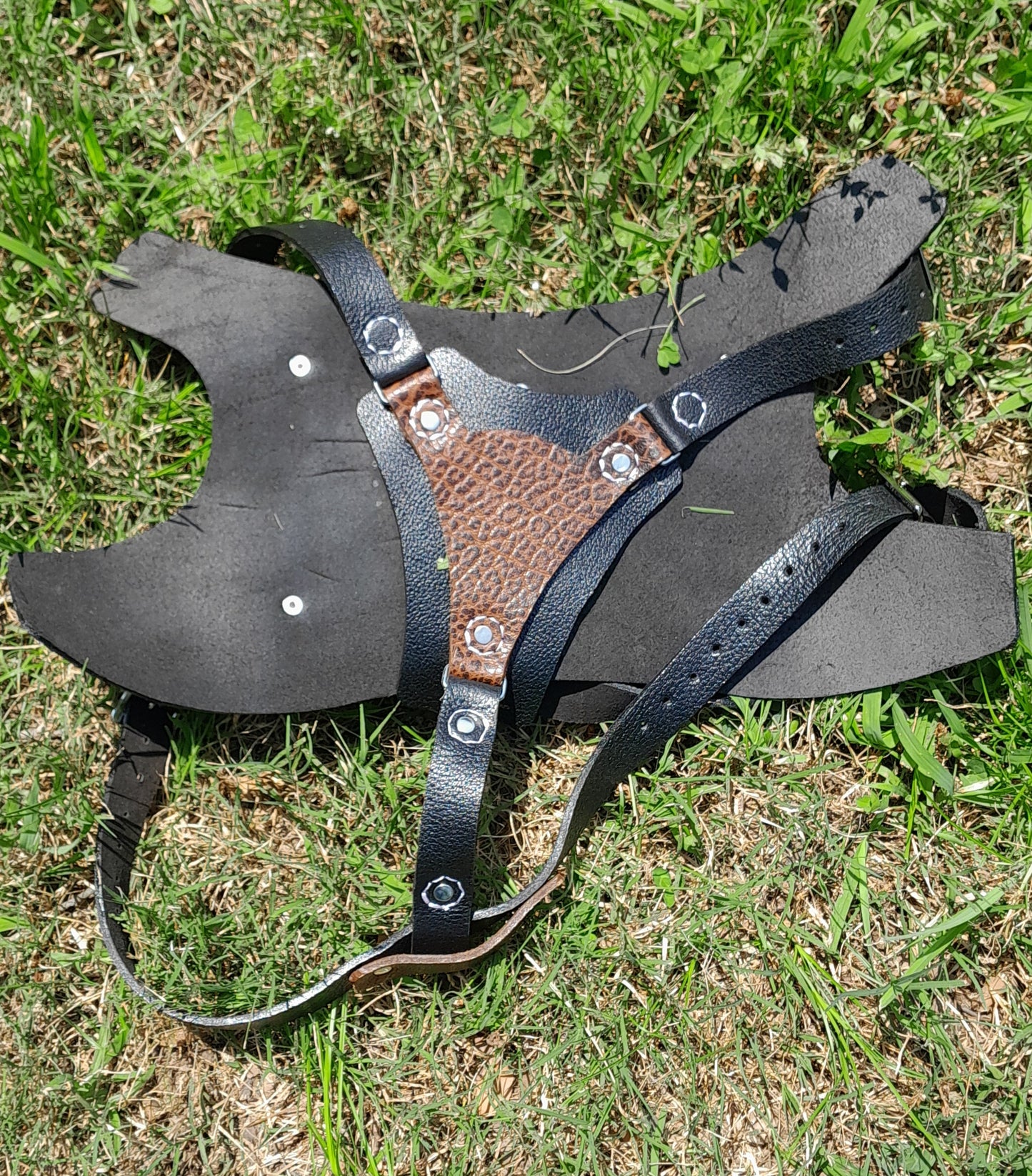 Premium Basic Leather Dog Harness