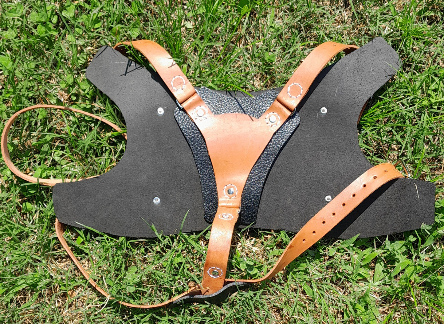 Premium Basic Leather Dog Harness