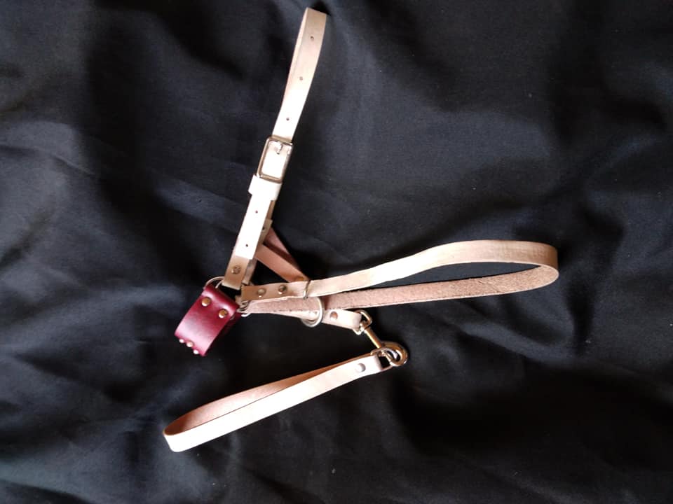 Goat Halter, All Leather for Adult and Kid Training. Very unique design doesn't slip down on their nose with a sliding leash and handle.