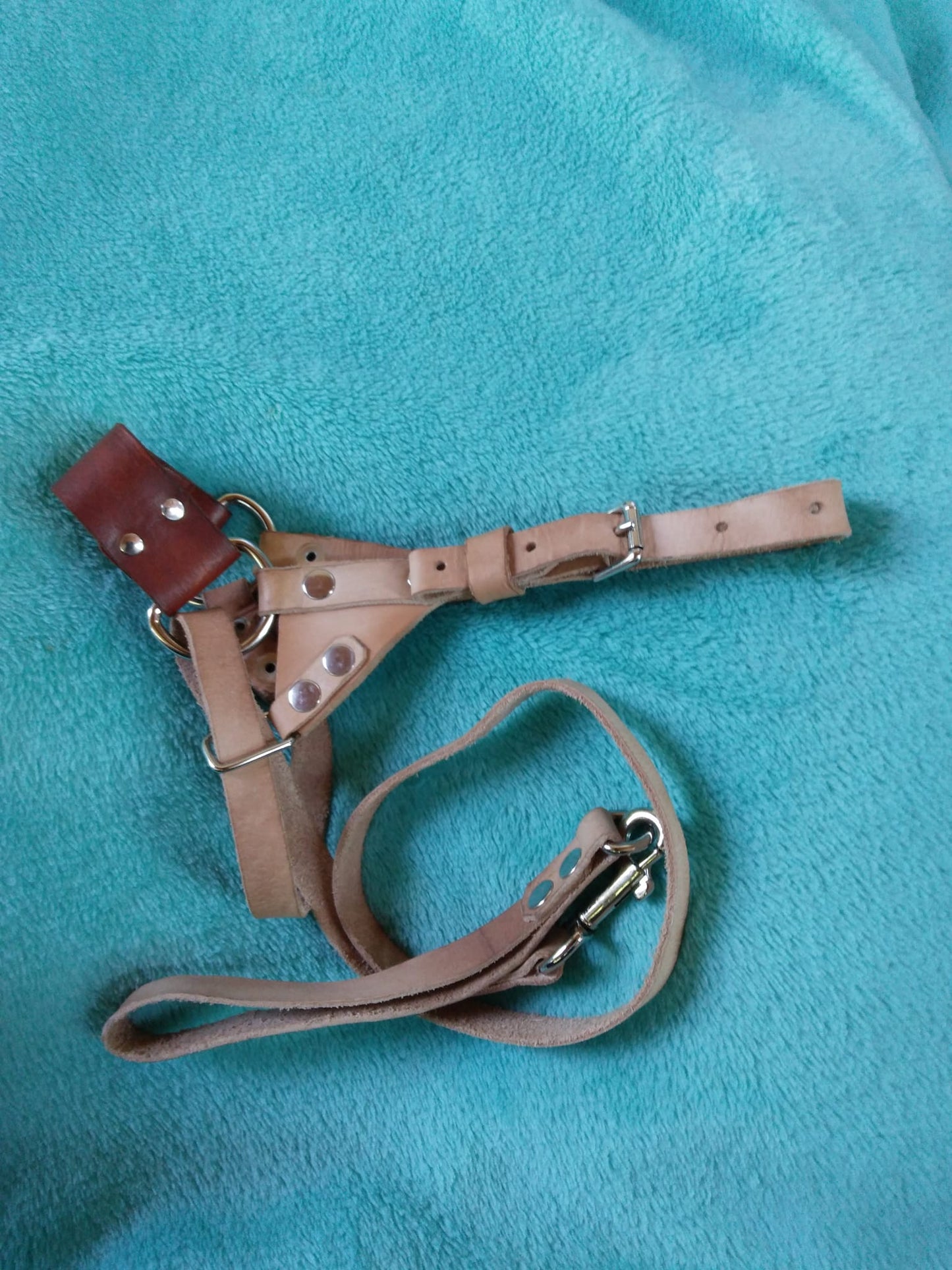 Goat Halter, All Leather for Adult and Kid Training. Very unique design doesn't slip down on their nose with a sliding leash and handle.