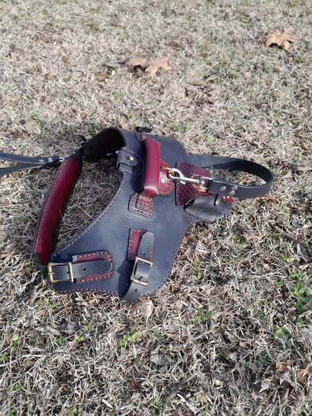 Heavy Duty Dog harness, Three Way Leash and RF tracker pocket