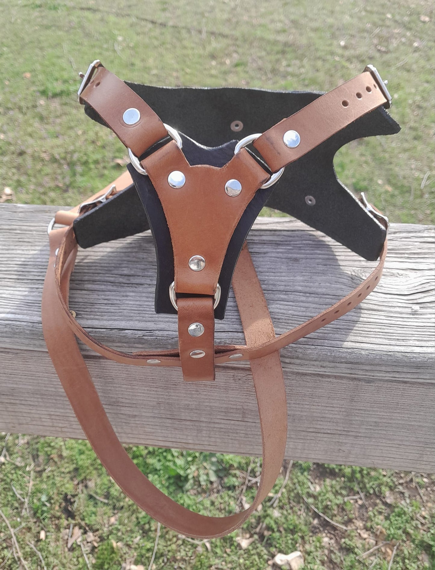 Premium Basic Leather Dog Harness