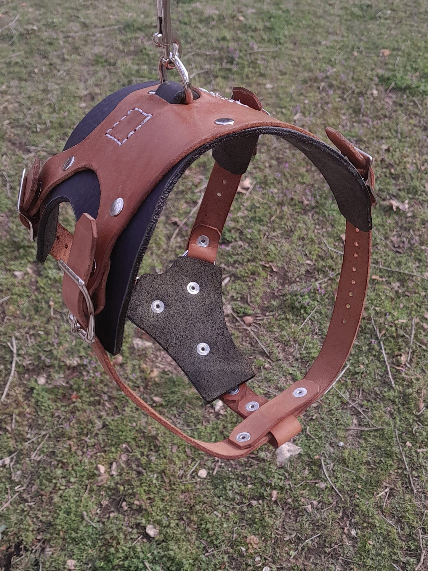 Premium Basic Leather Dog Harness