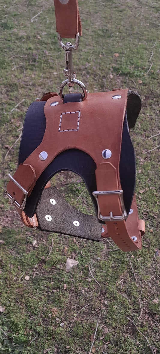 Premium Basic Leather Dog Harness