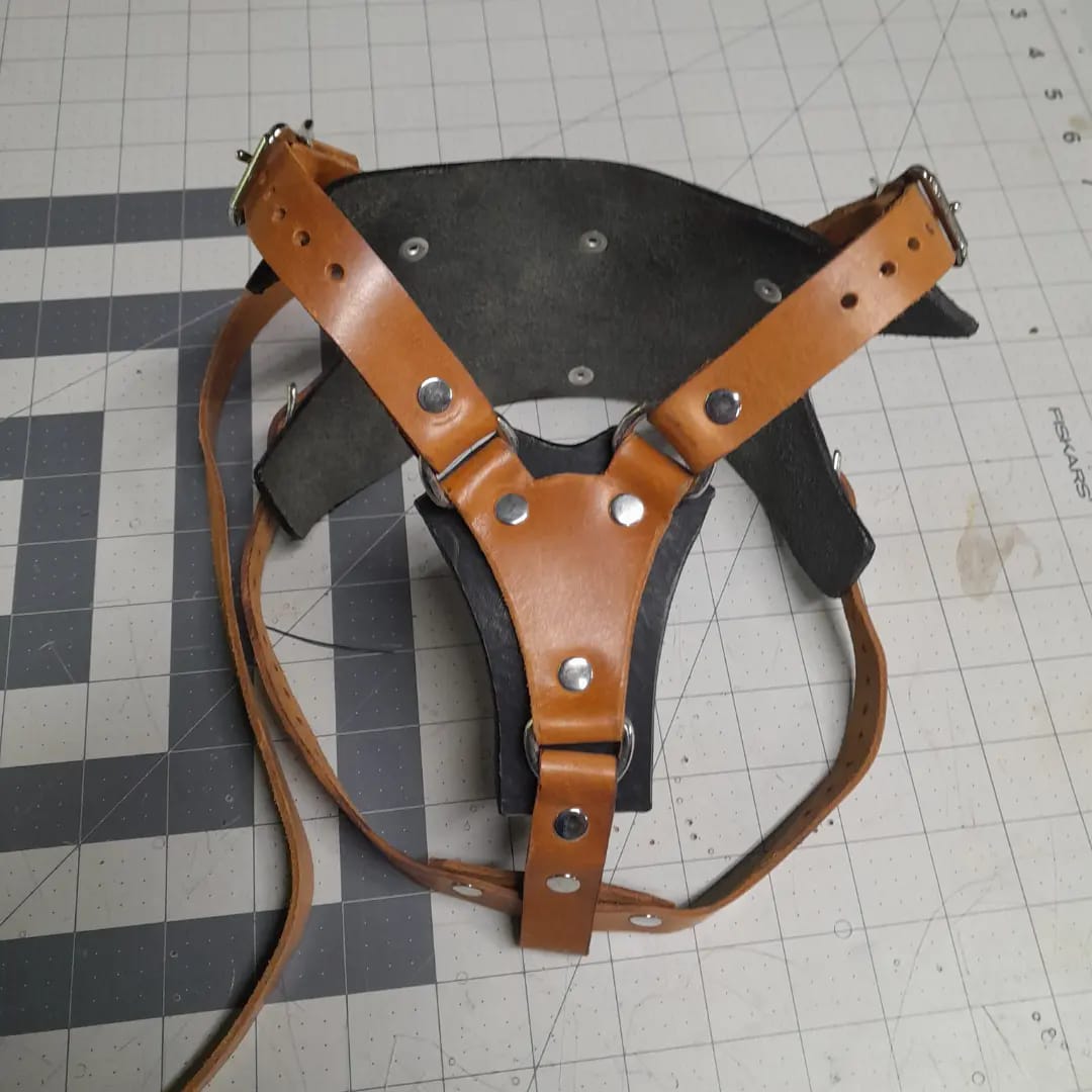 Premium Basic Leather Dog Harness