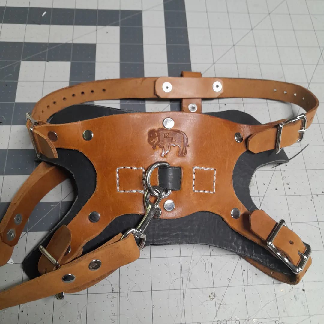 Premium Basic Leather Dog Harness