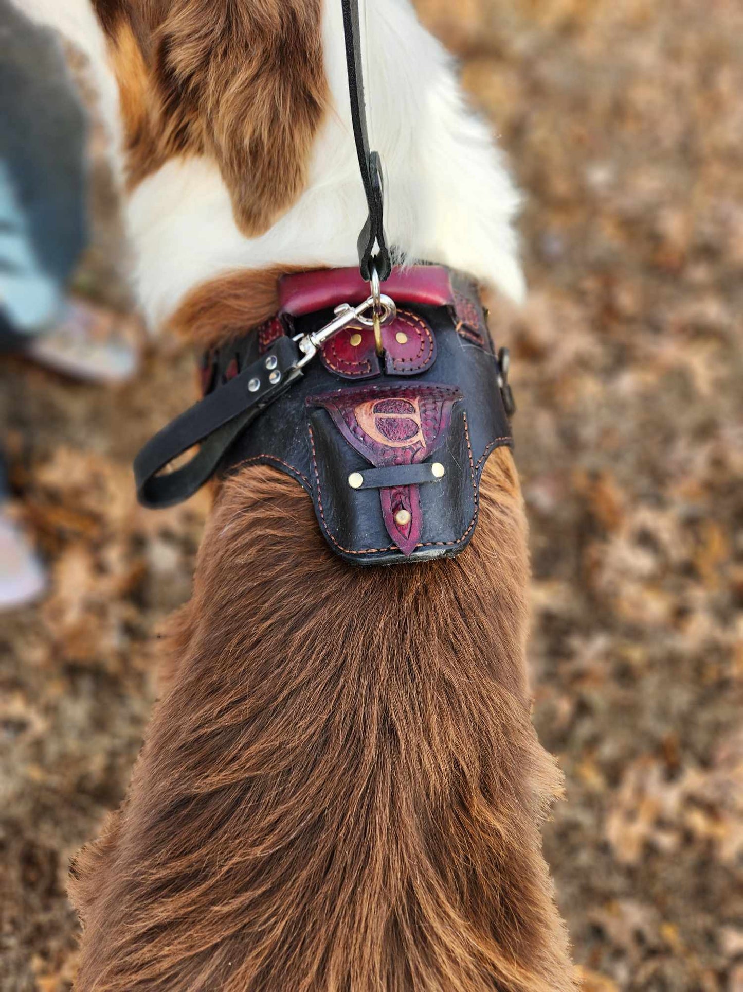 Heavy Duty Dog harness, Three Way Leash and RF tracker pocket