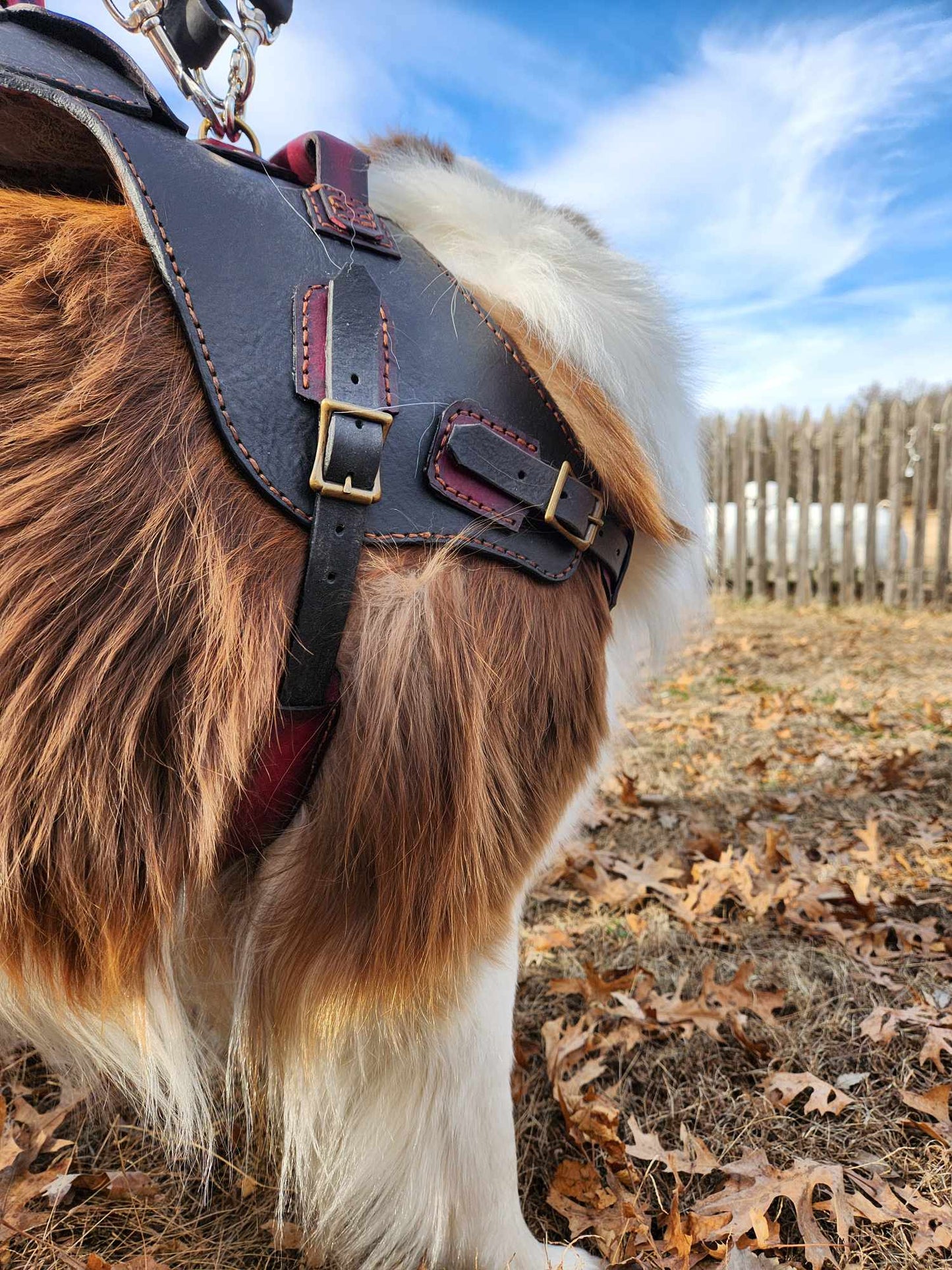 Heavy Duty Dog harness, Three Way Leash and RF tracker pocket