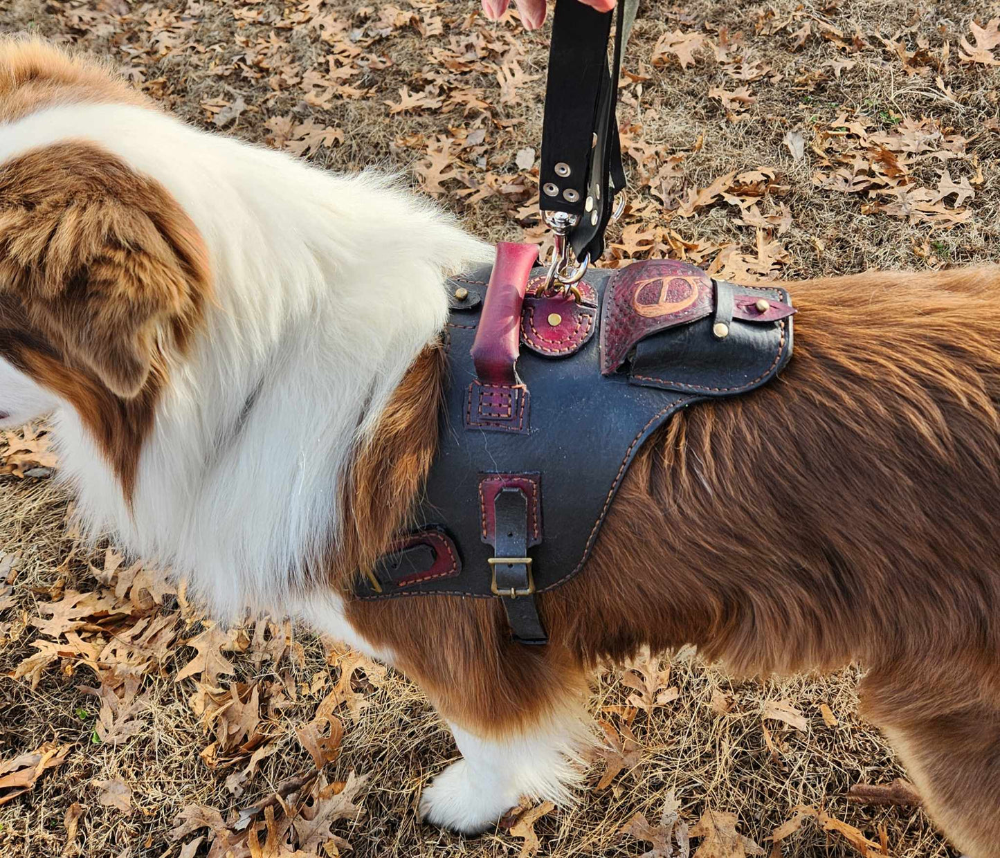 Heavy Duty Dog harness, Three Way Leash and RF tracker pocket