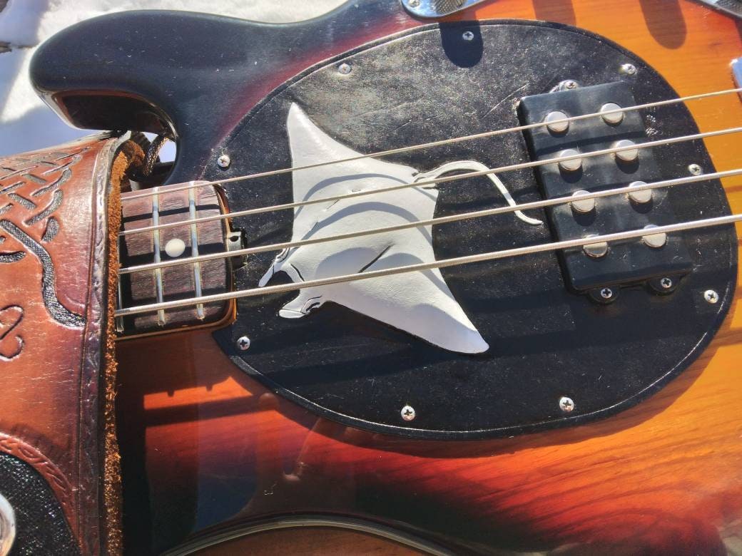Custom Pickguard - Stratocaster | Custom Picks for your guitar