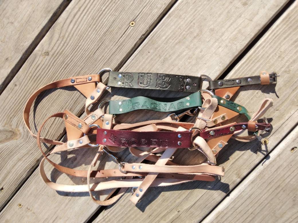 goat halter